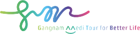 Gangnam Medi Tour